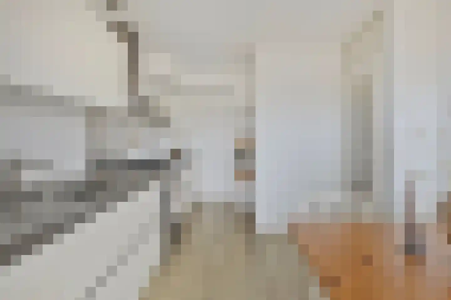 Slachthuiskade 22 Rotterdam thumbnail 4