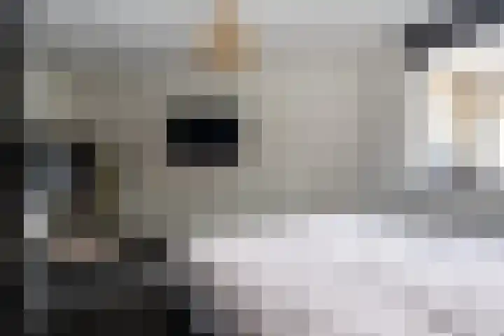 Slachthuisstraat 1 Groningen thumbnail 14