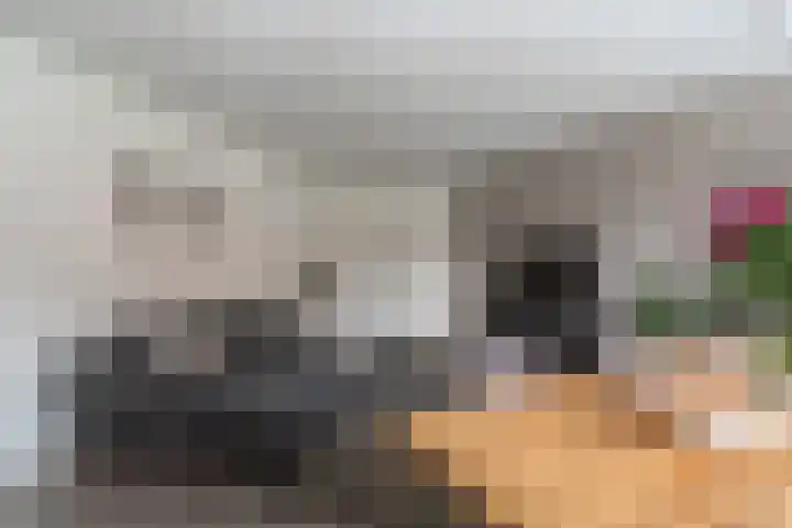 Slachthuisstraat 1 Groningen thumbnail 7