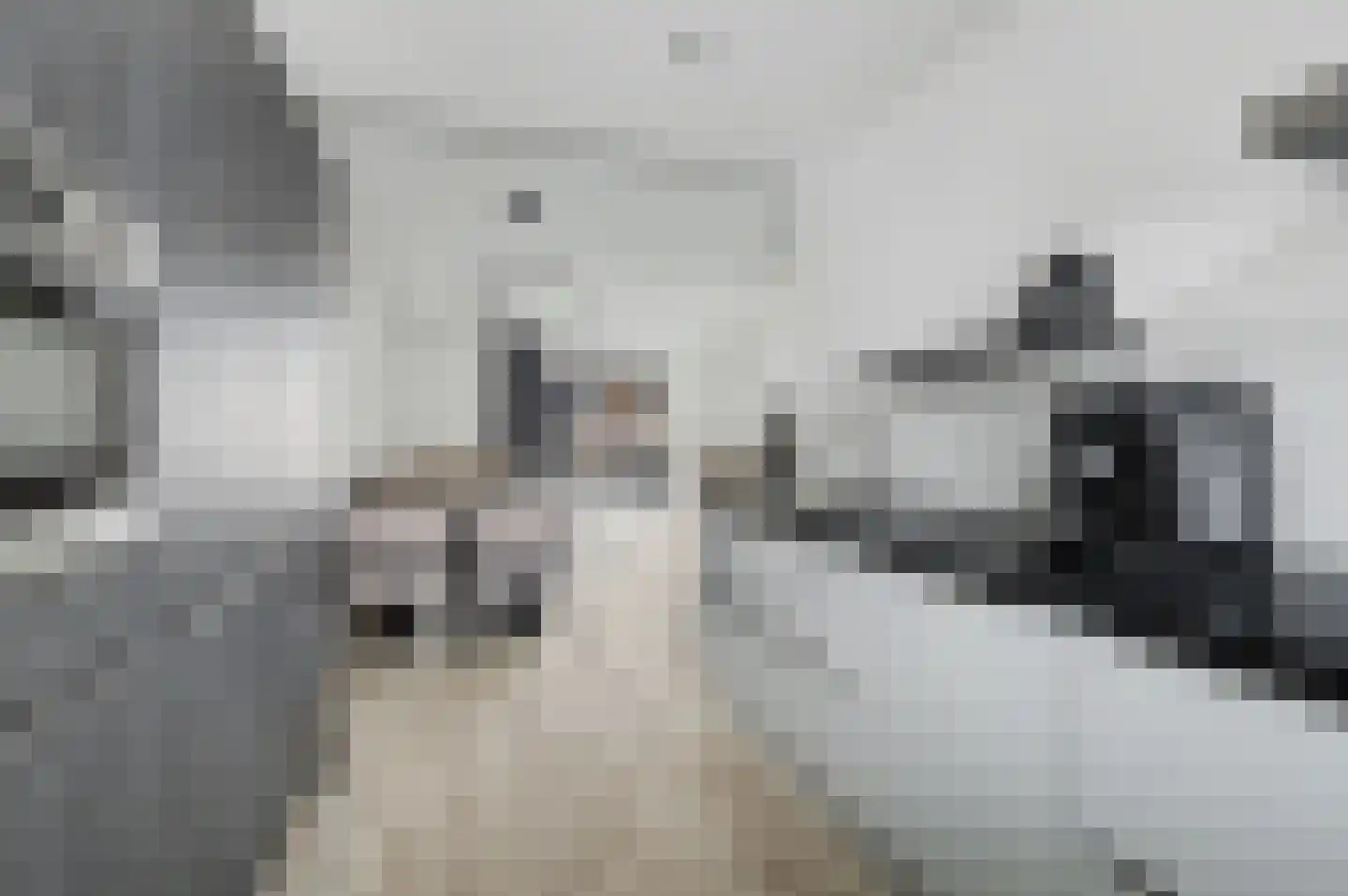 Slachthuisstraat 11 Geldrop thumbnail 13