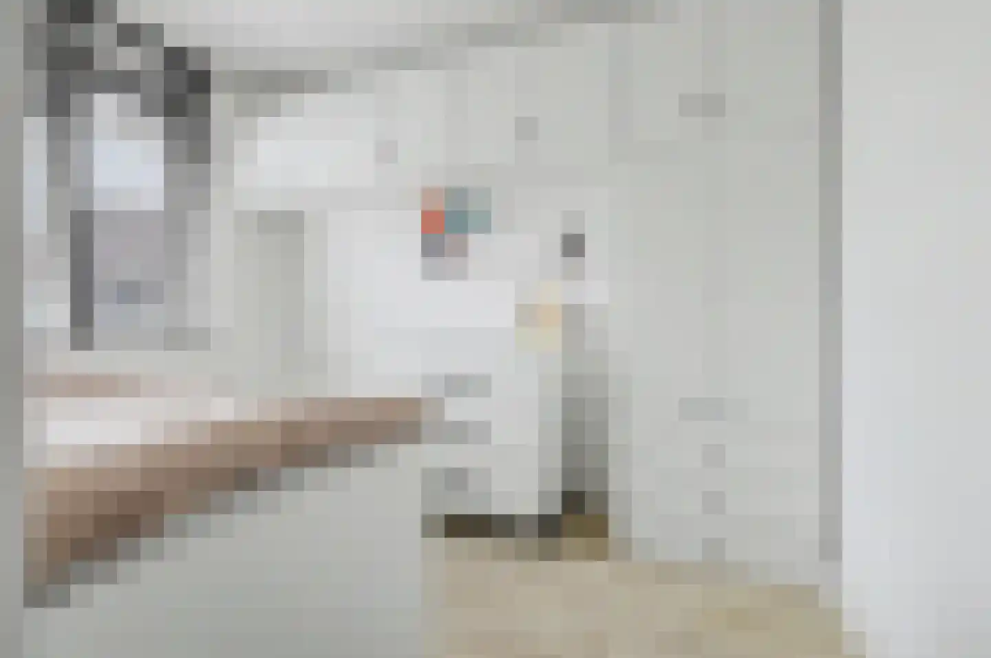 Slachthuisstraat 11 Geldrop thumbnail 19