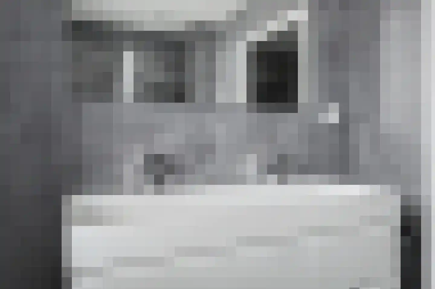 Slachthuisstraat 11 Geldrop thumbnail 23