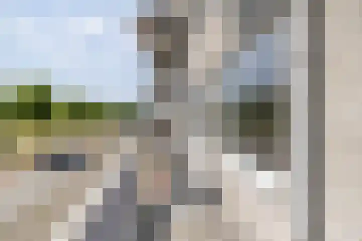Slachthuisstraat 125 Groningen thumbnail 24