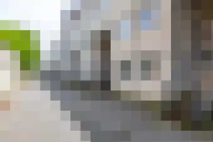 Slachthuisstraat 125 Groningen thumbnail 41