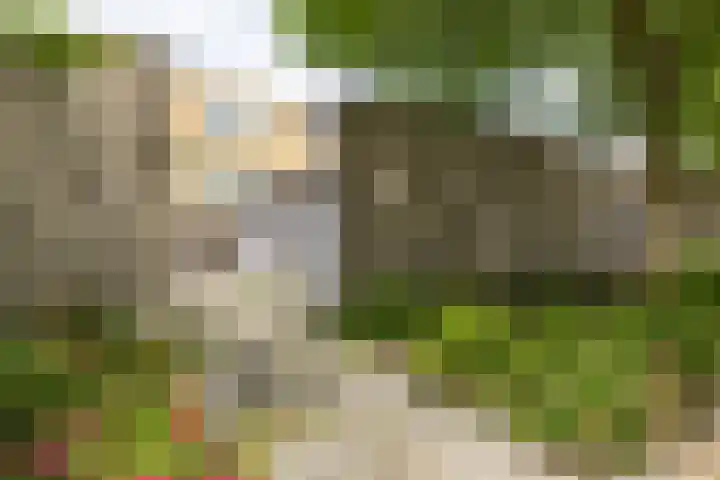 Slachthuisstraat 125 Groningen thumbnail 42