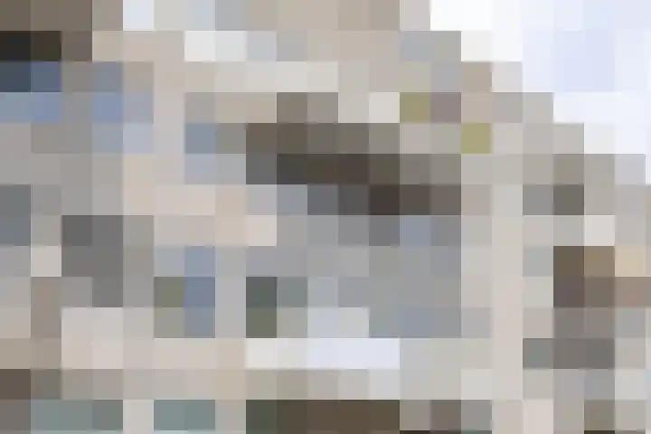 Slachthuisstraat 125 Groningen thumbnail 45