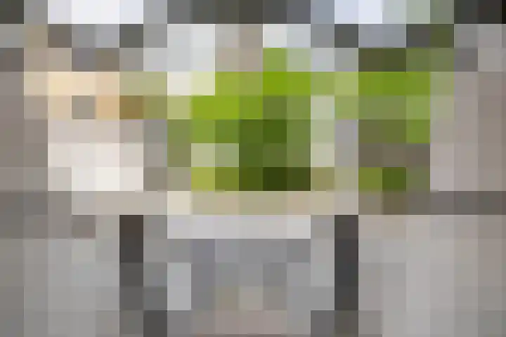 Slachthuisstraat 125 Groningen thumbnail 5