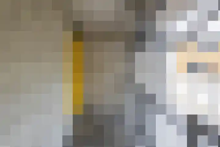Slachthuisstraat 125 Groningen thumbnail 6