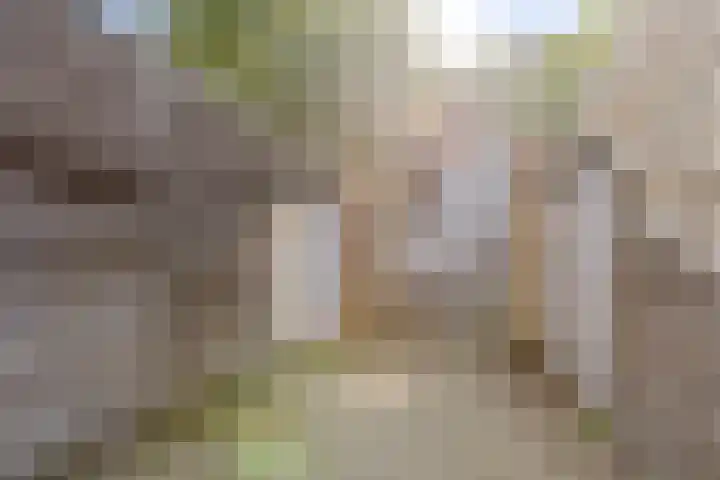 Slachthuisstraat 126 Groningen thumbnail 22