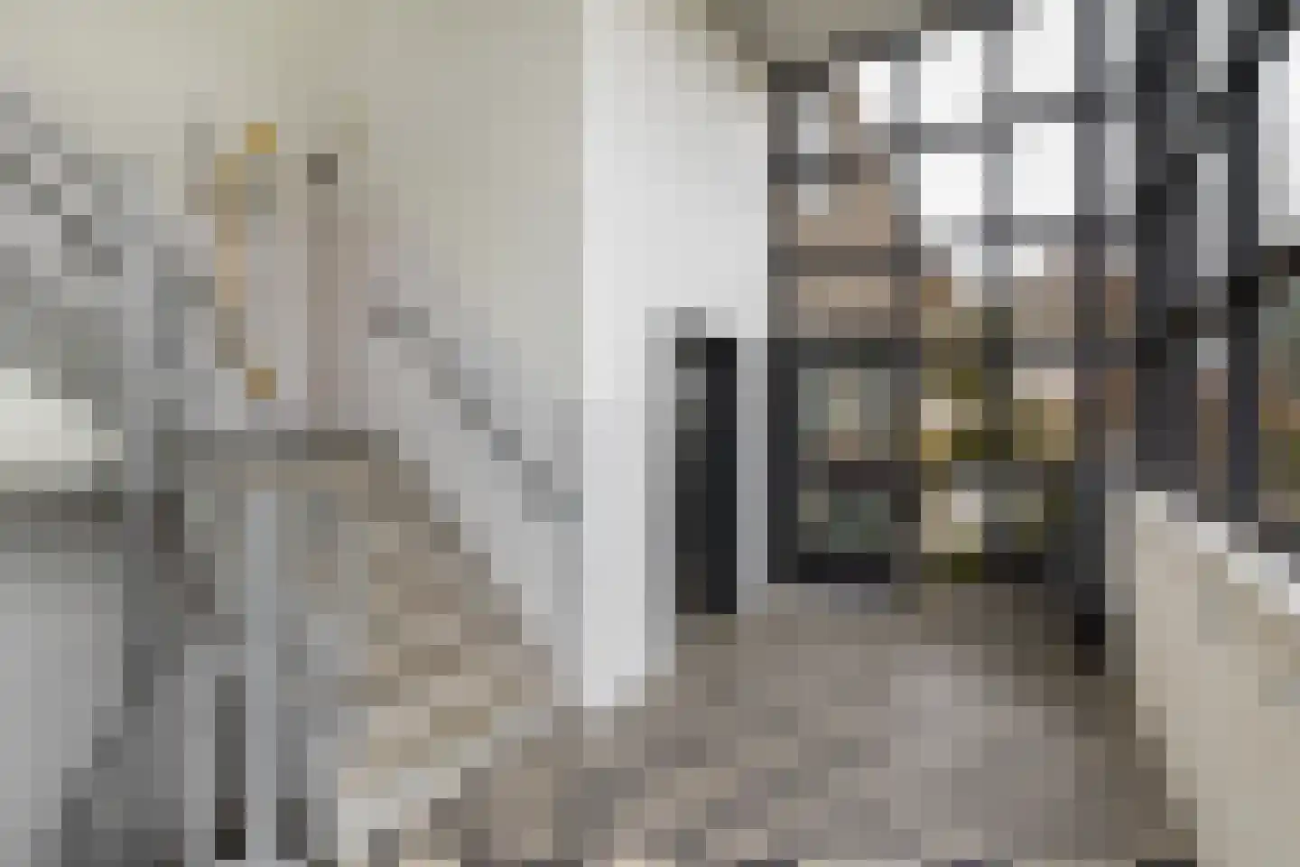 Slachthuisstraat 146 Groningen thumbnail 5
