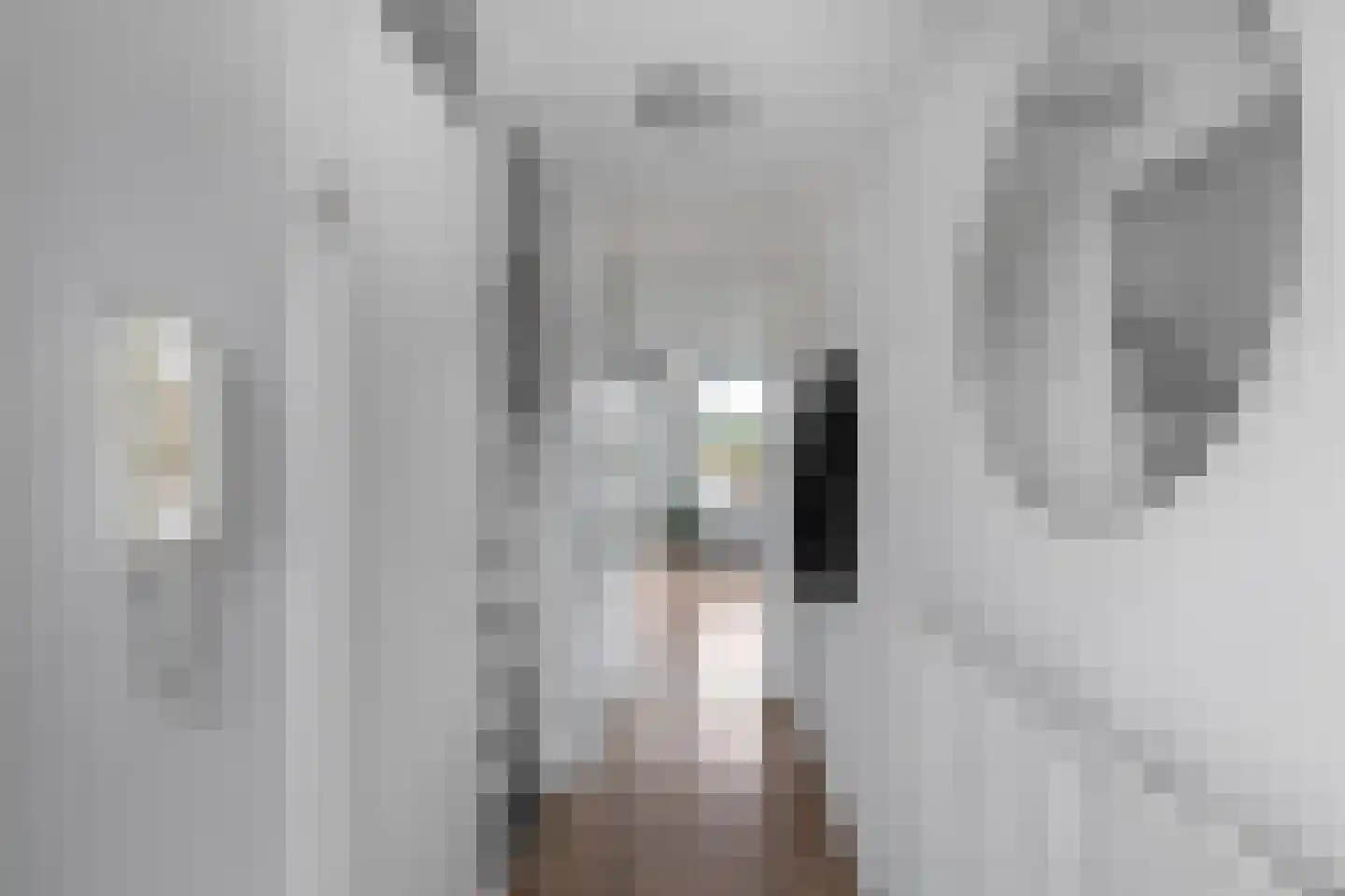 Slachthuisstraat 146 Groningen thumbnail 7