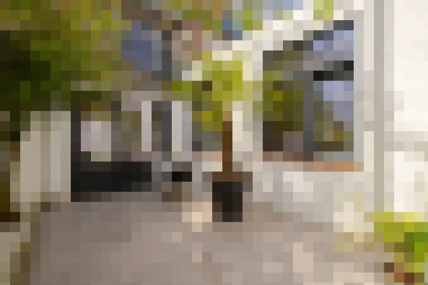 Slachthuisstraat 15 ZW Haarlem thumbnail 18