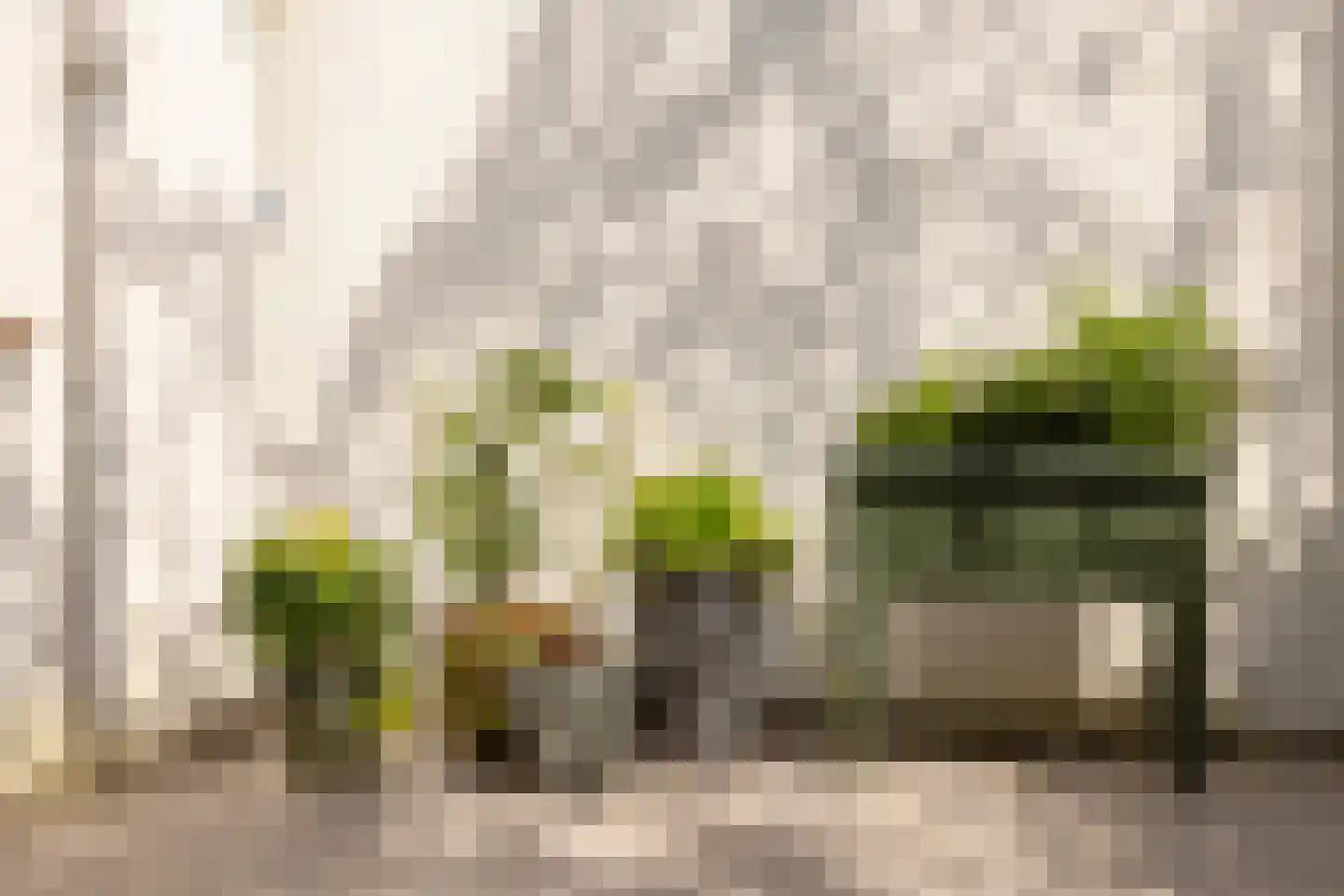 Slachthuisstraat 15 ZW Haarlem thumbnail 20