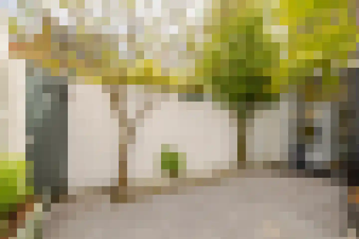 Slachthuisstraat 15 ZW Haarlem thumbnail 21