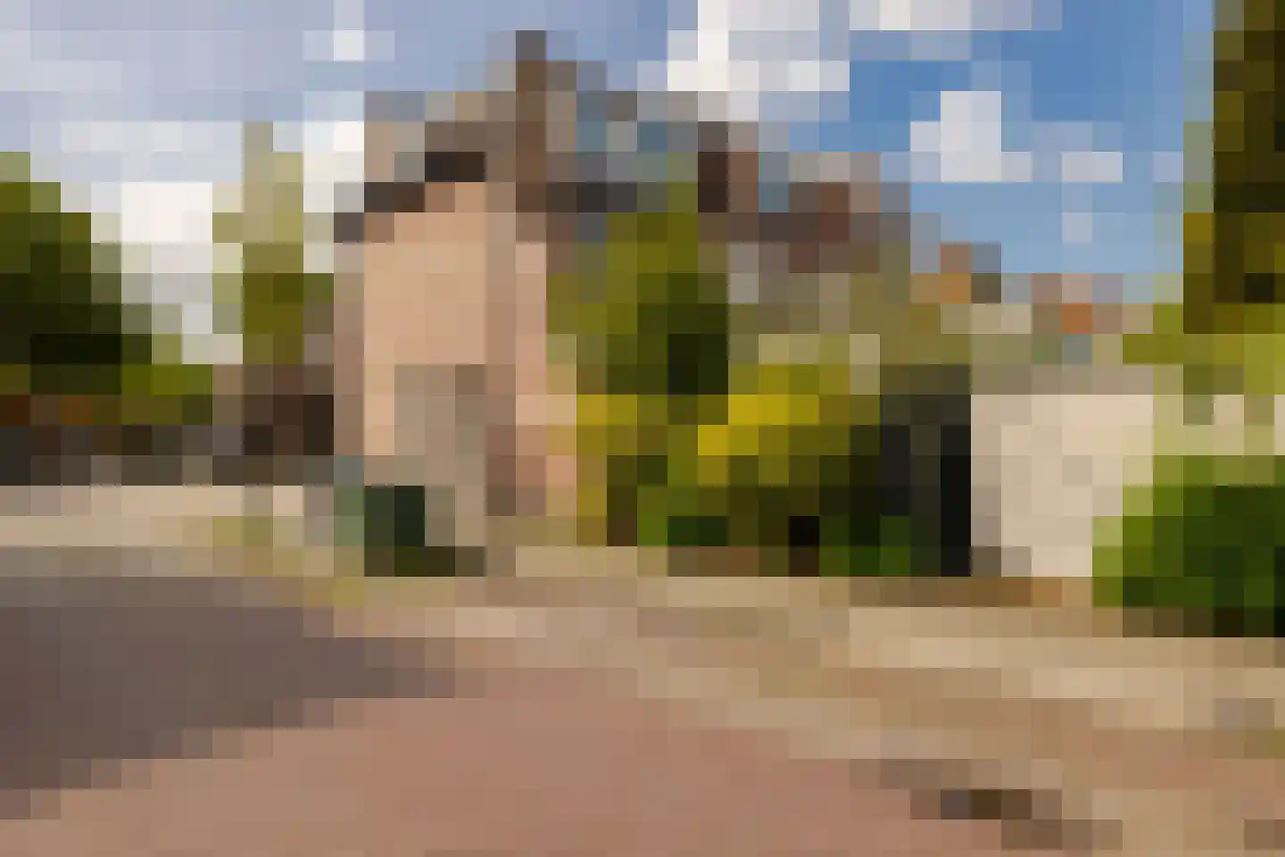Slachthuisstraat 15 ZW Haarlem thumbnail 32