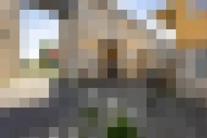 Slachthuisstraat 152 Groningen thumbnail 11