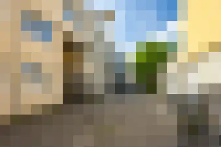 Slachthuisstraat 152 Groningen thumbnail 12