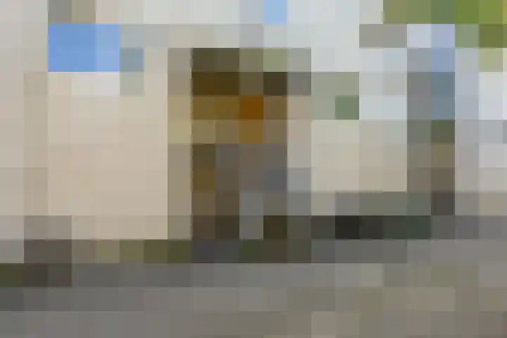 Slachthuisstraat 152 Groningen thumbnail 13
