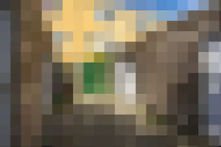 Slachthuisstraat 152 Groningen thumbnail 38