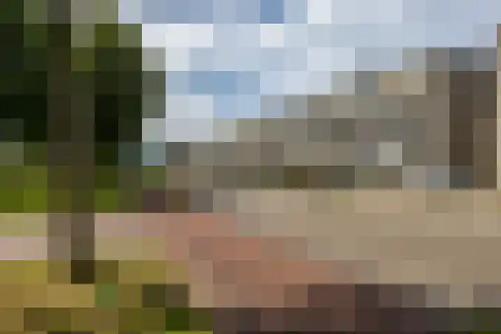 Slachthuisstraat 152 Groningen thumbnail 7