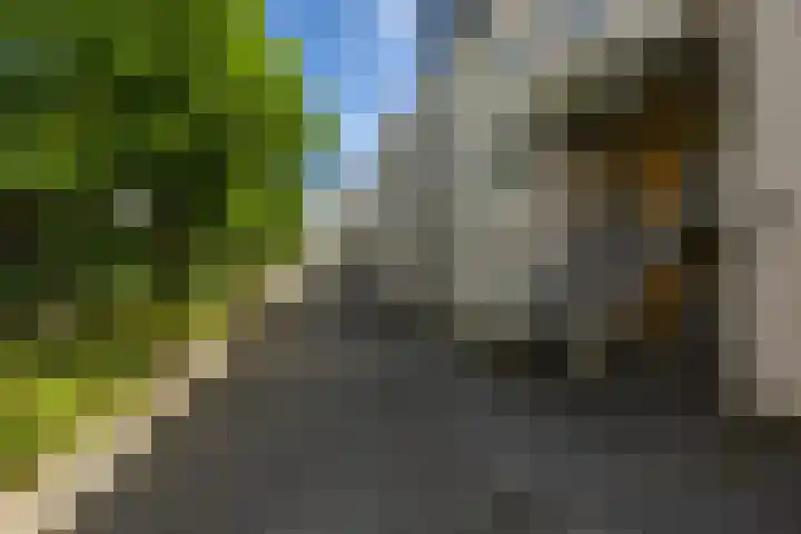 Slachthuisstraat 152 Groningen thumbnail 9