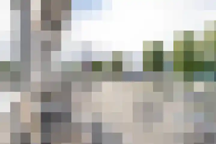 Slachthuisstraat 156 Groningen thumbnail 12