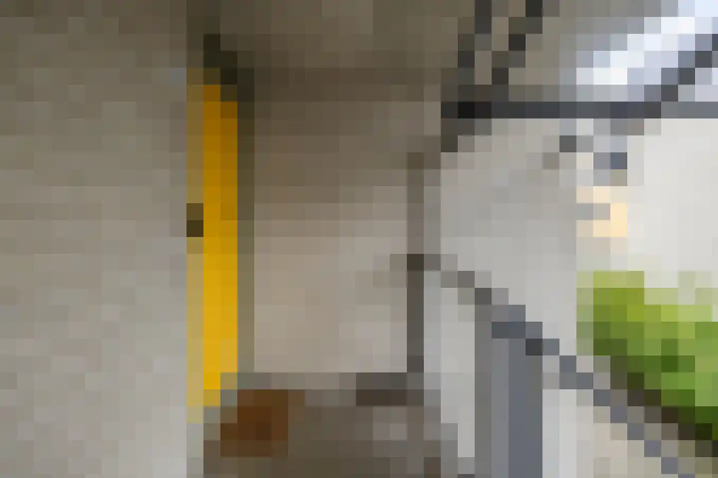 Slachthuisstraat 175 Groningen thumbnail 10