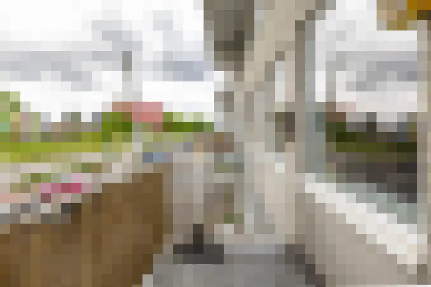 Slachthuisstraat 175 Groningen thumbnail 18