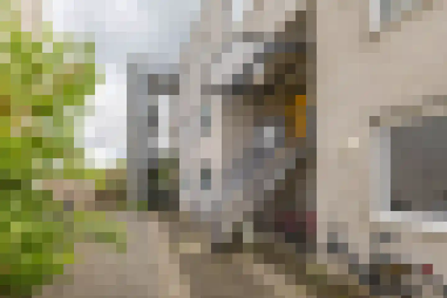Slachthuisstraat 175 Groningen thumbnail 8
