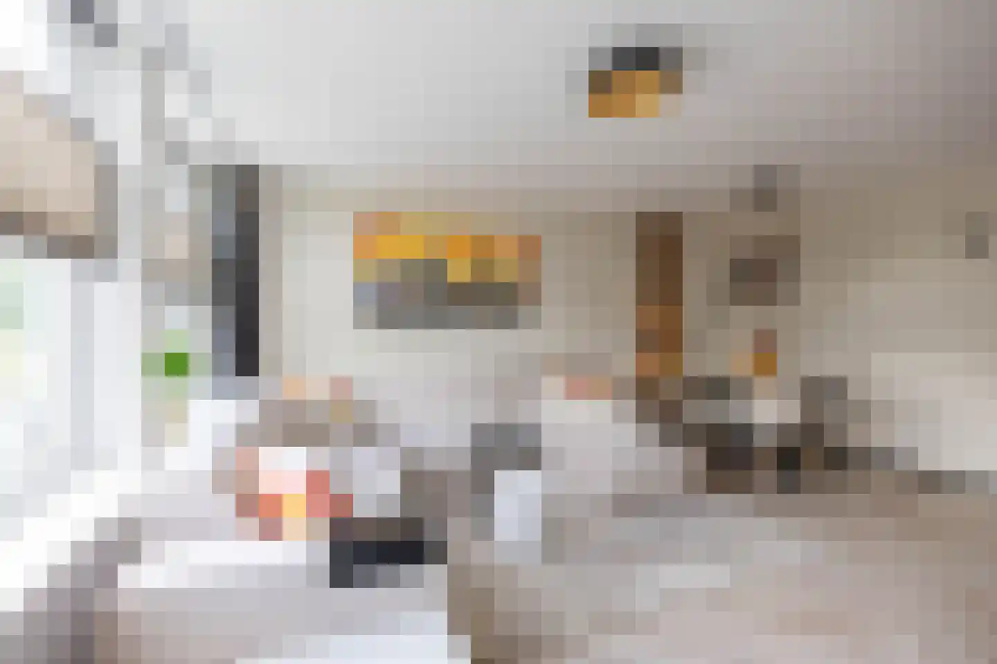Slachthuisstraat 178 Groningen thumbnail 13