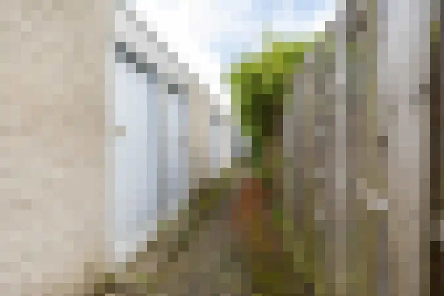 Slachthuisstraat 178 Groningen thumbnail 35