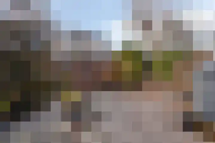 Slachthuisstraat 21 Zaandam thumbnail 31