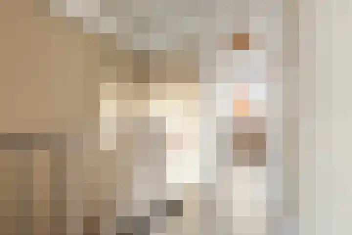 Slachthuisstraat 247 Groningen thumbnail 21