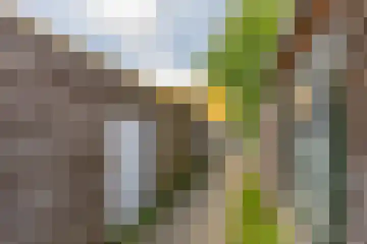 Slachthuisstraat 257 Groningen thumbnail 31