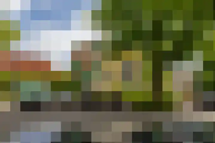Slachthuisstraat 257 Groningen thumbnail 36