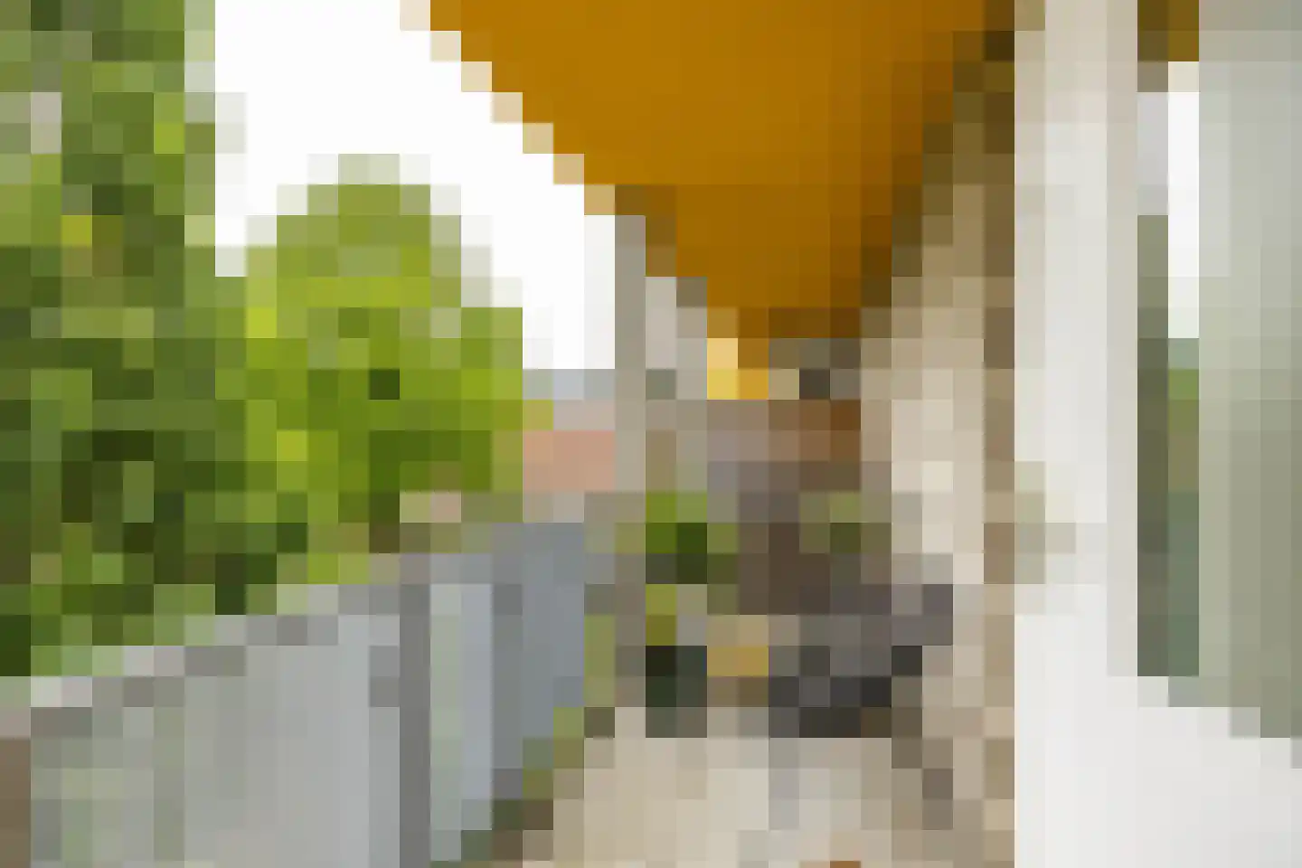Slachthuisstraat 258 Groningen thumbnail 16