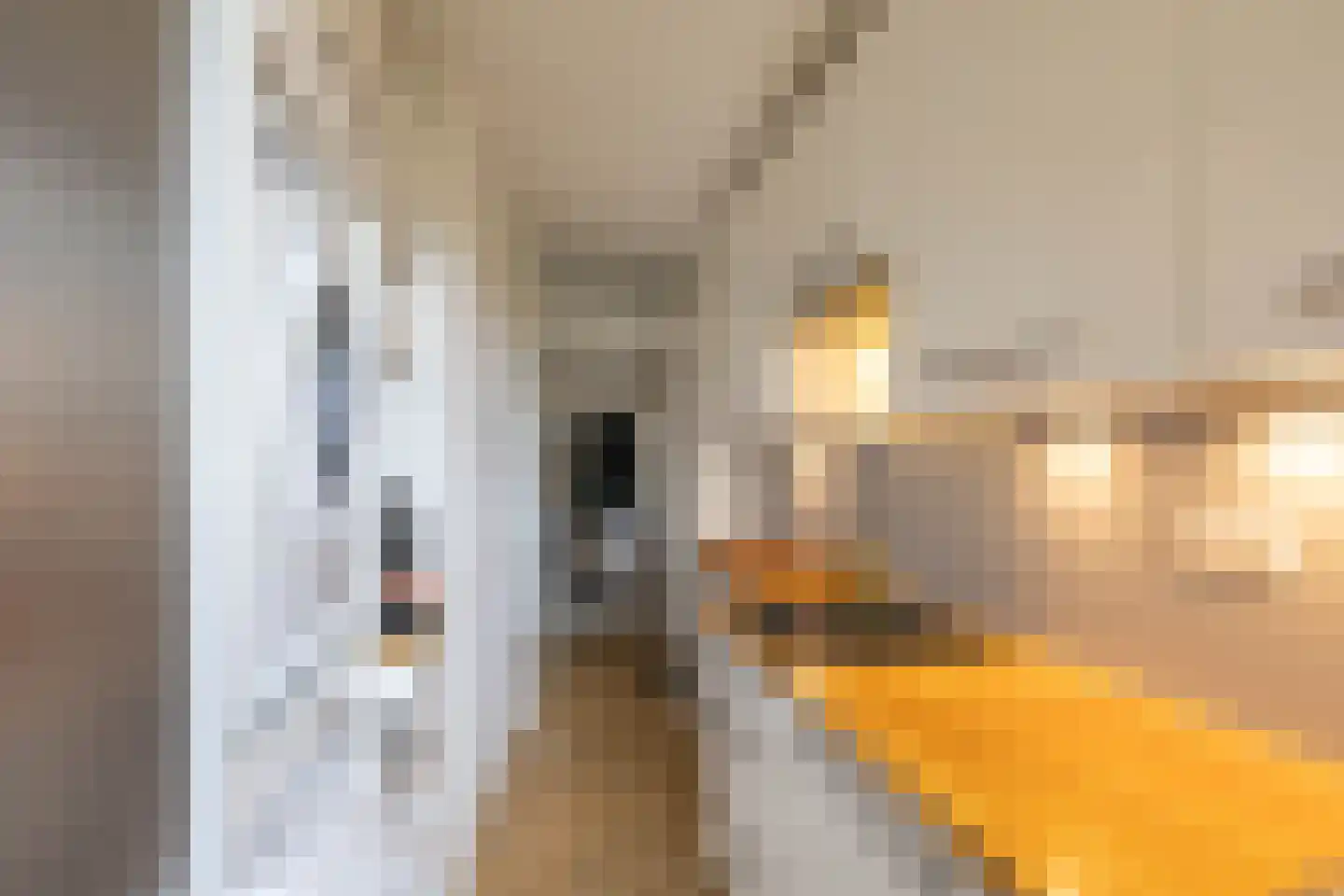 Slachthuisstraat 258 Groningen thumbnail 24
