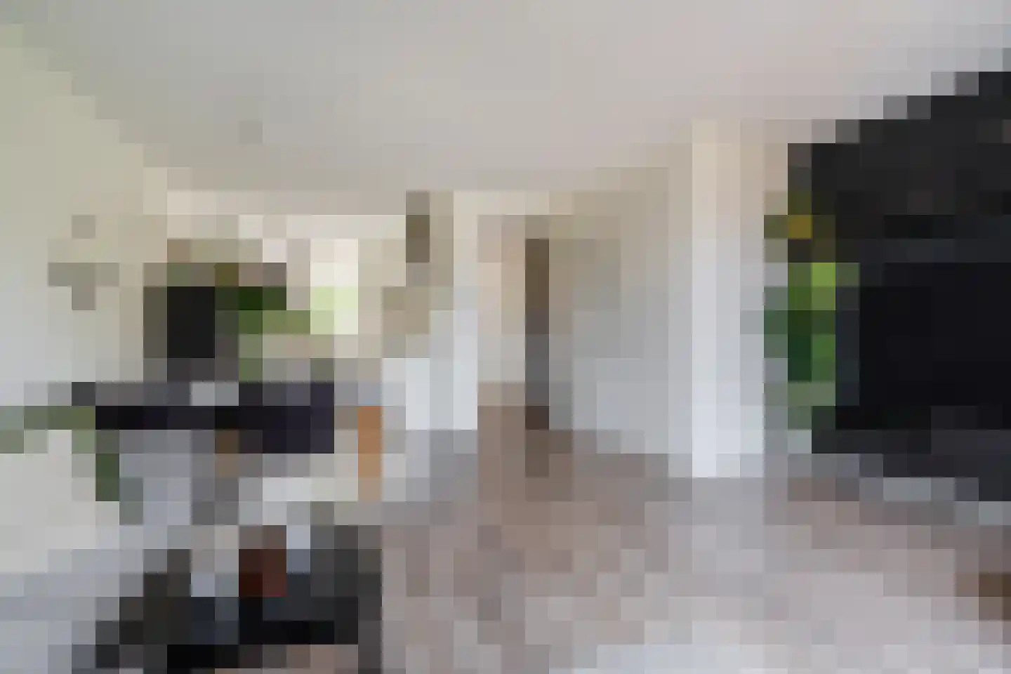 Slachthuisstraat 29 Geldrop thumbnail 12