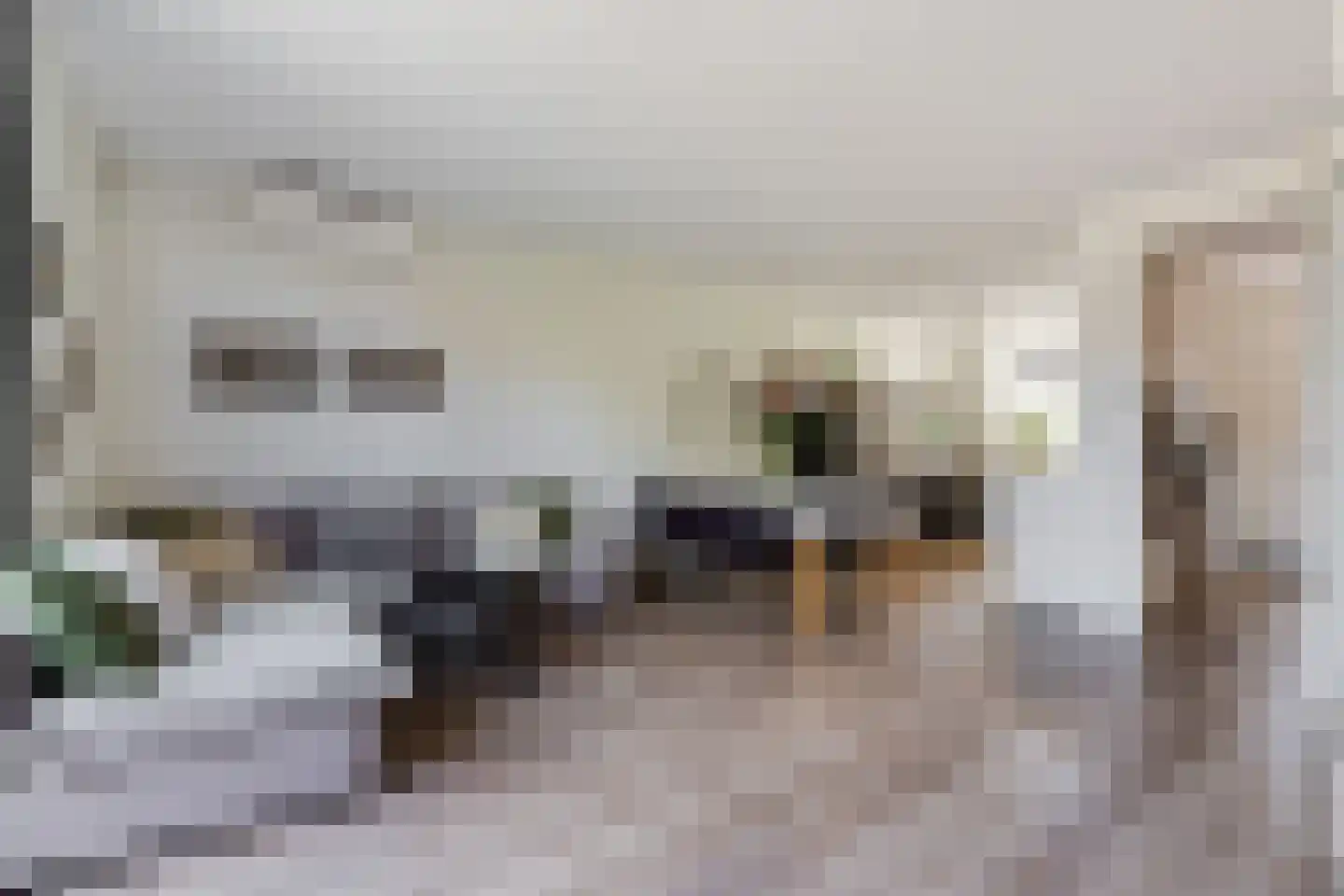 Slachthuisstraat 29 Geldrop thumbnail 13