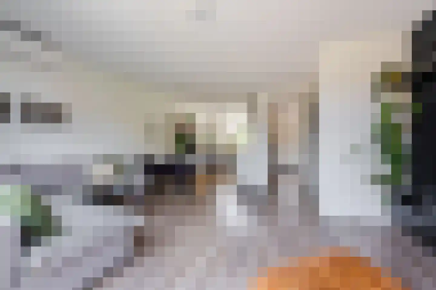 Slachthuisstraat 29 Geldrop thumbnail 14