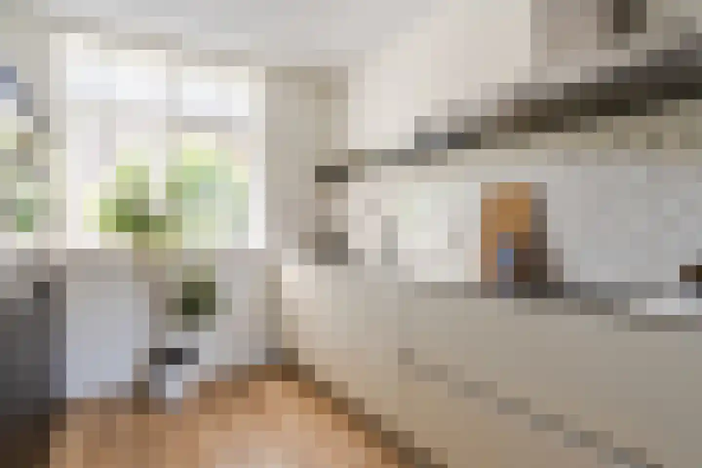 Slachthuisstraat 29 Geldrop thumbnail 15