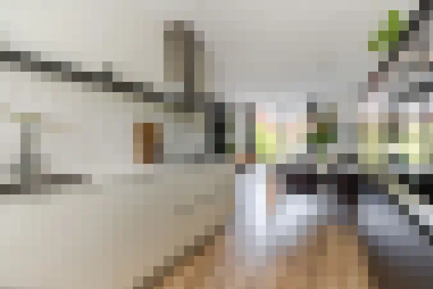 Slachthuisstraat 29 Geldrop thumbnail 16