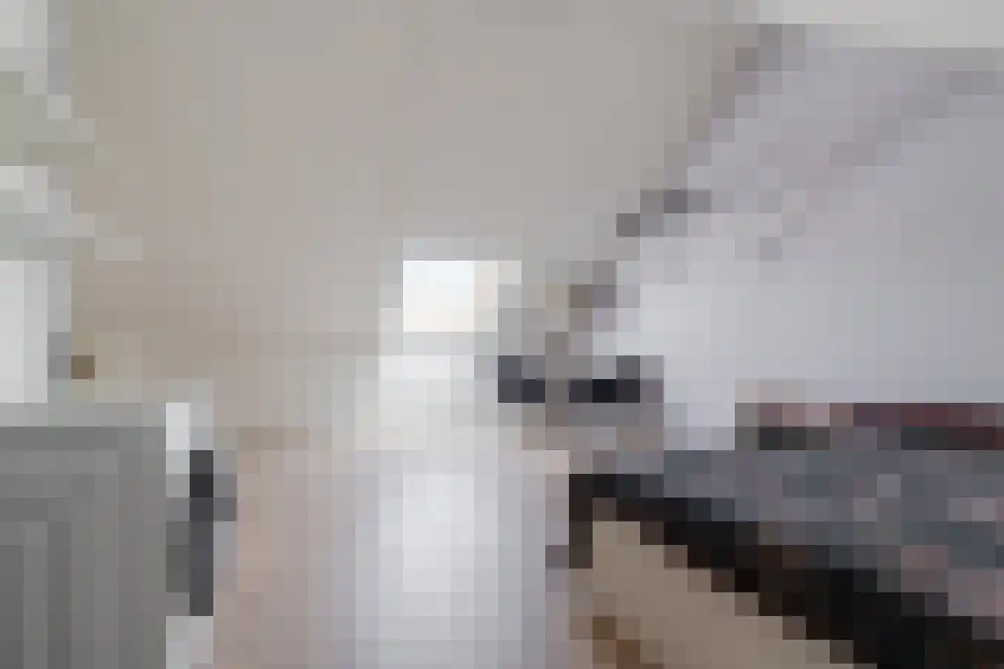 Slachthuisstraat 29 Geldrop thumbnail 31