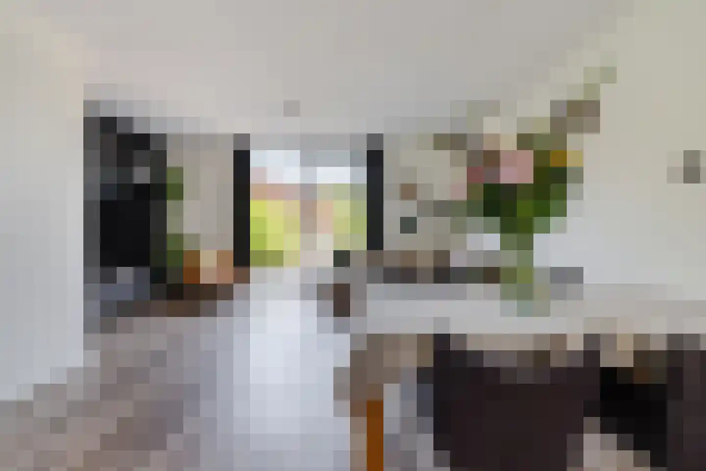 Slachthuisstraat 29 Geldrop thumbnail 8