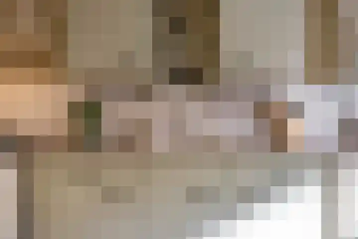 Slachthuisstraat 29 Groningen thumbnail 12