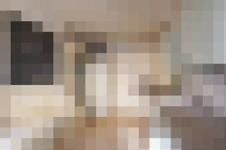 Slachthuisstraat 29 Groningen thumbnail 13