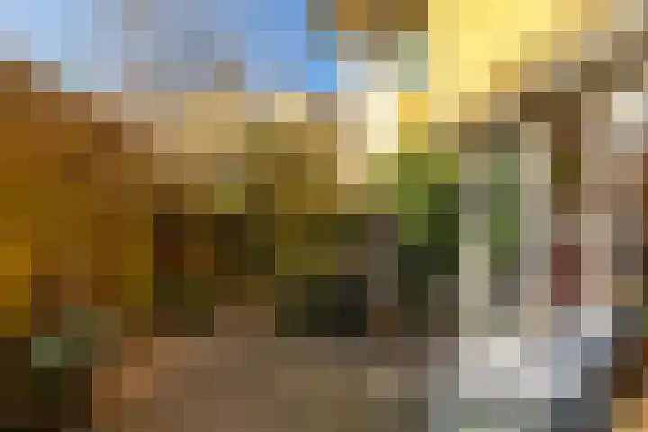 Slachthuisstraat 29 Groningen thumbnail 24