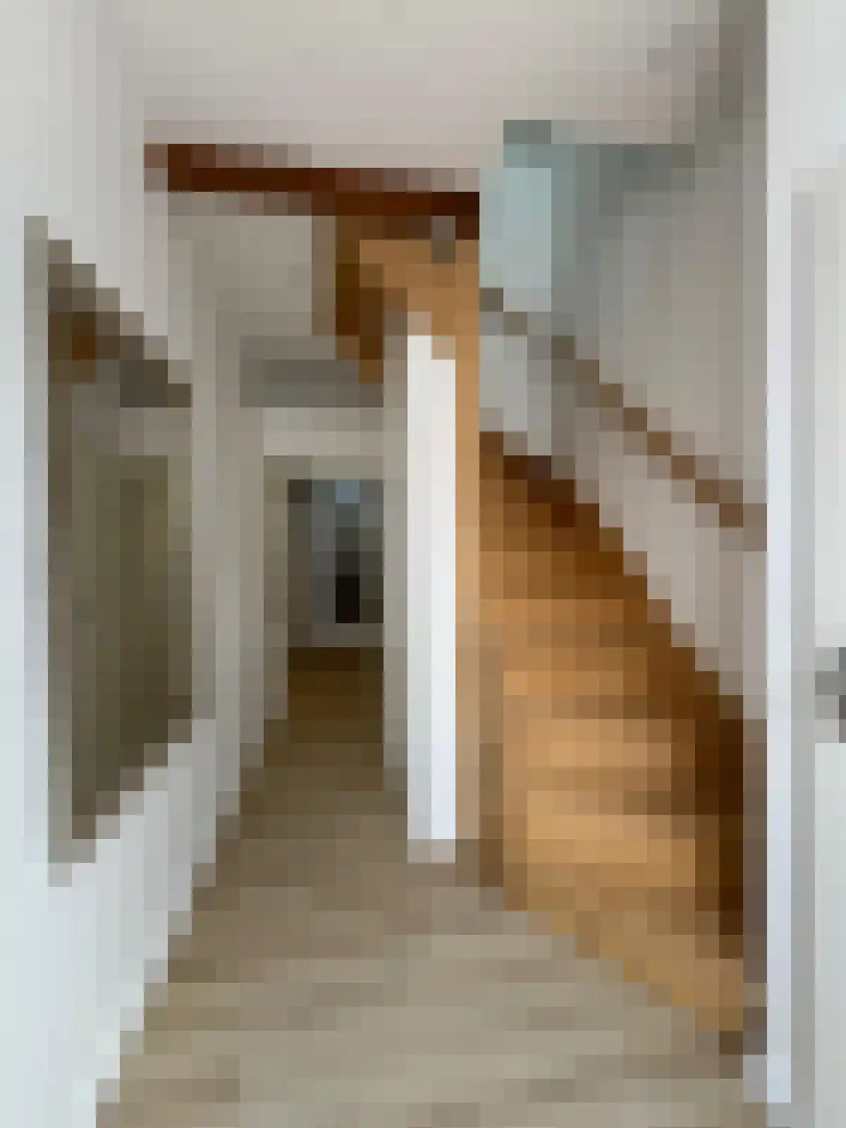 Slachthuisstraat 3 IJzendijke thumbnail 11