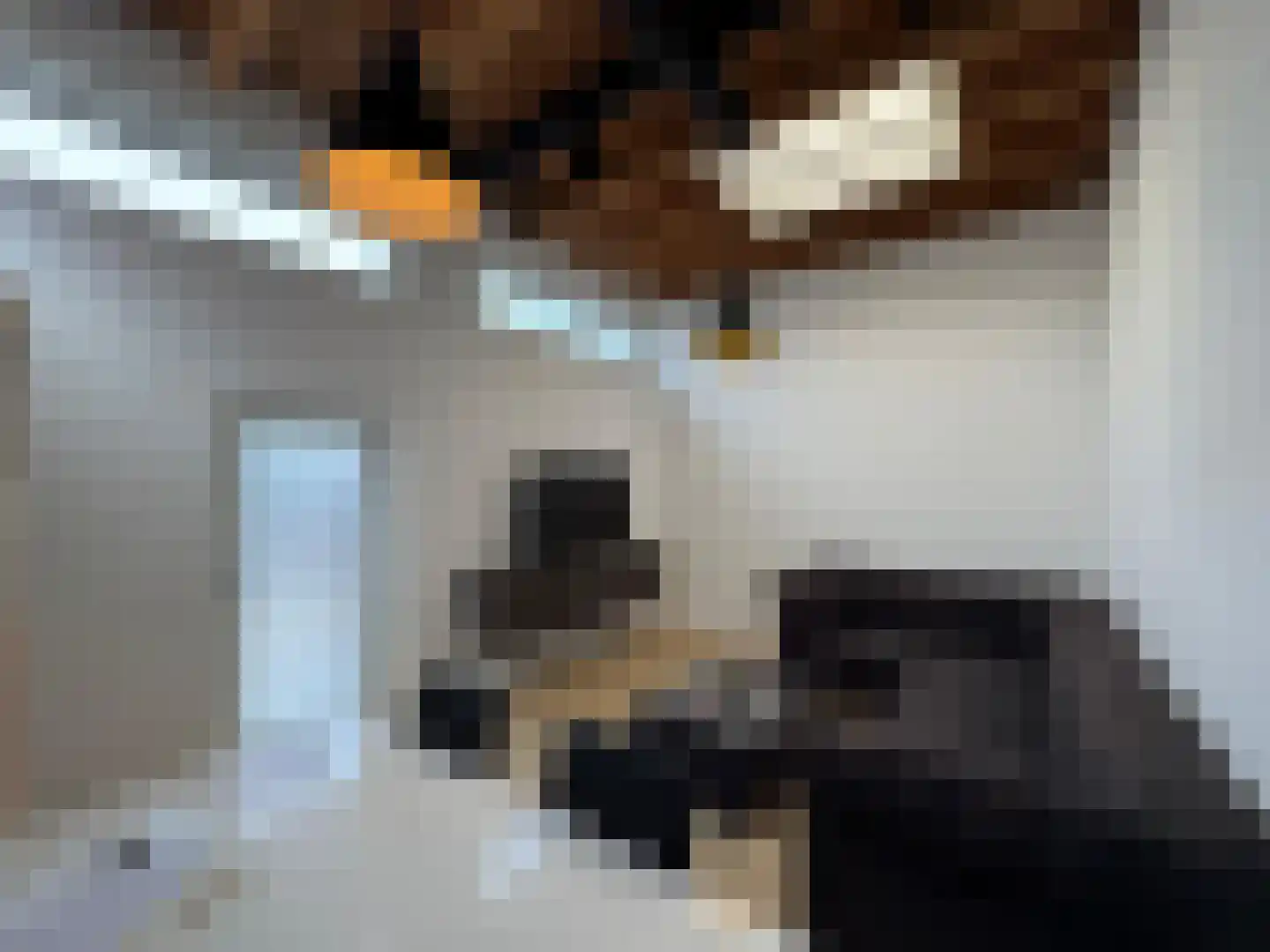Slachthuisstraat 3 IJzendijke thumbnail 5