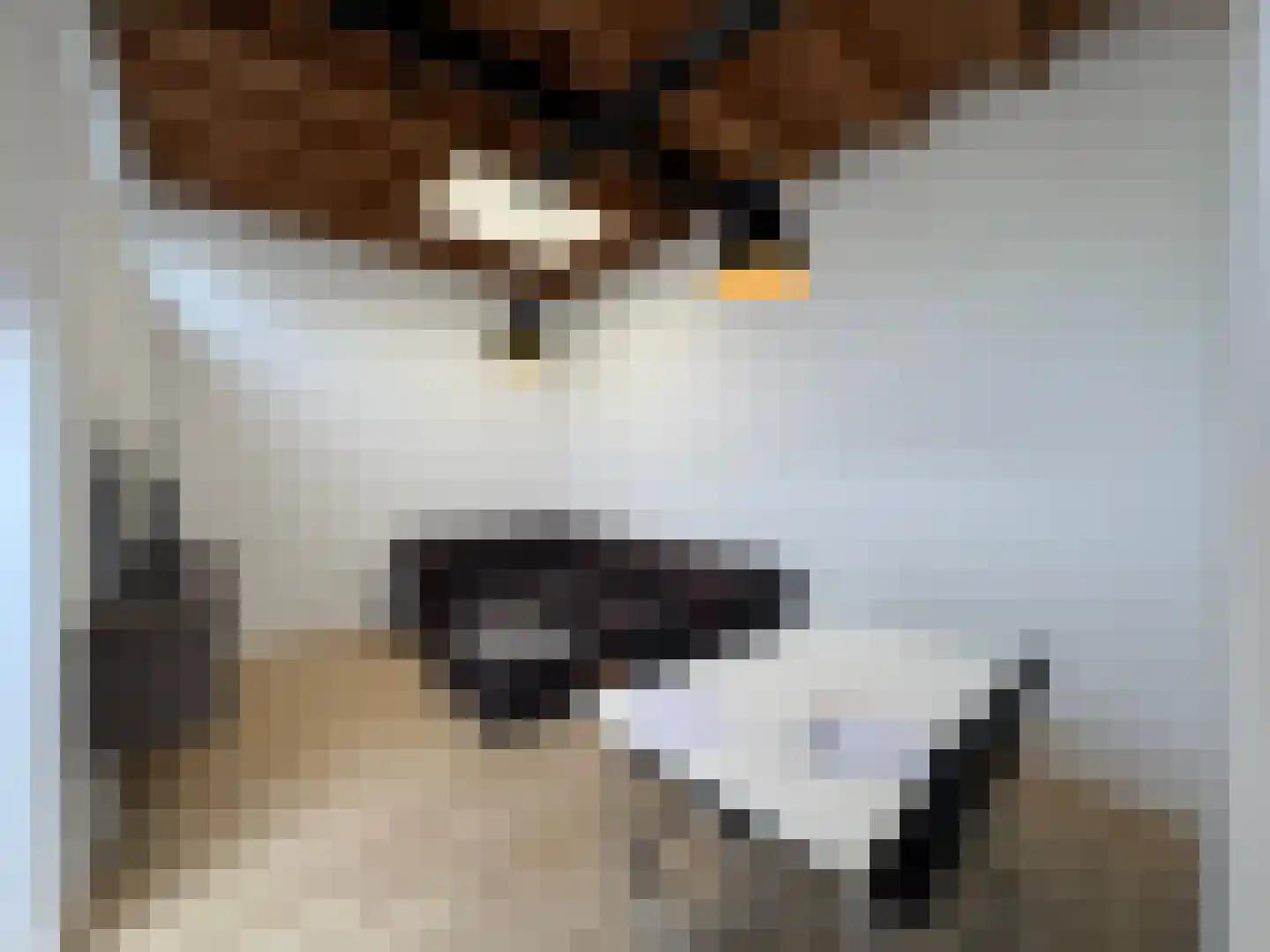 Slachthuisstraat 3 IJzendijke thumbnail 6